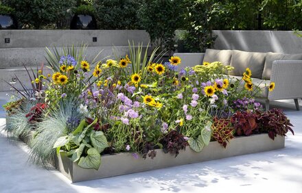 Ontwerp uw droomtuin met onze schetsservice!