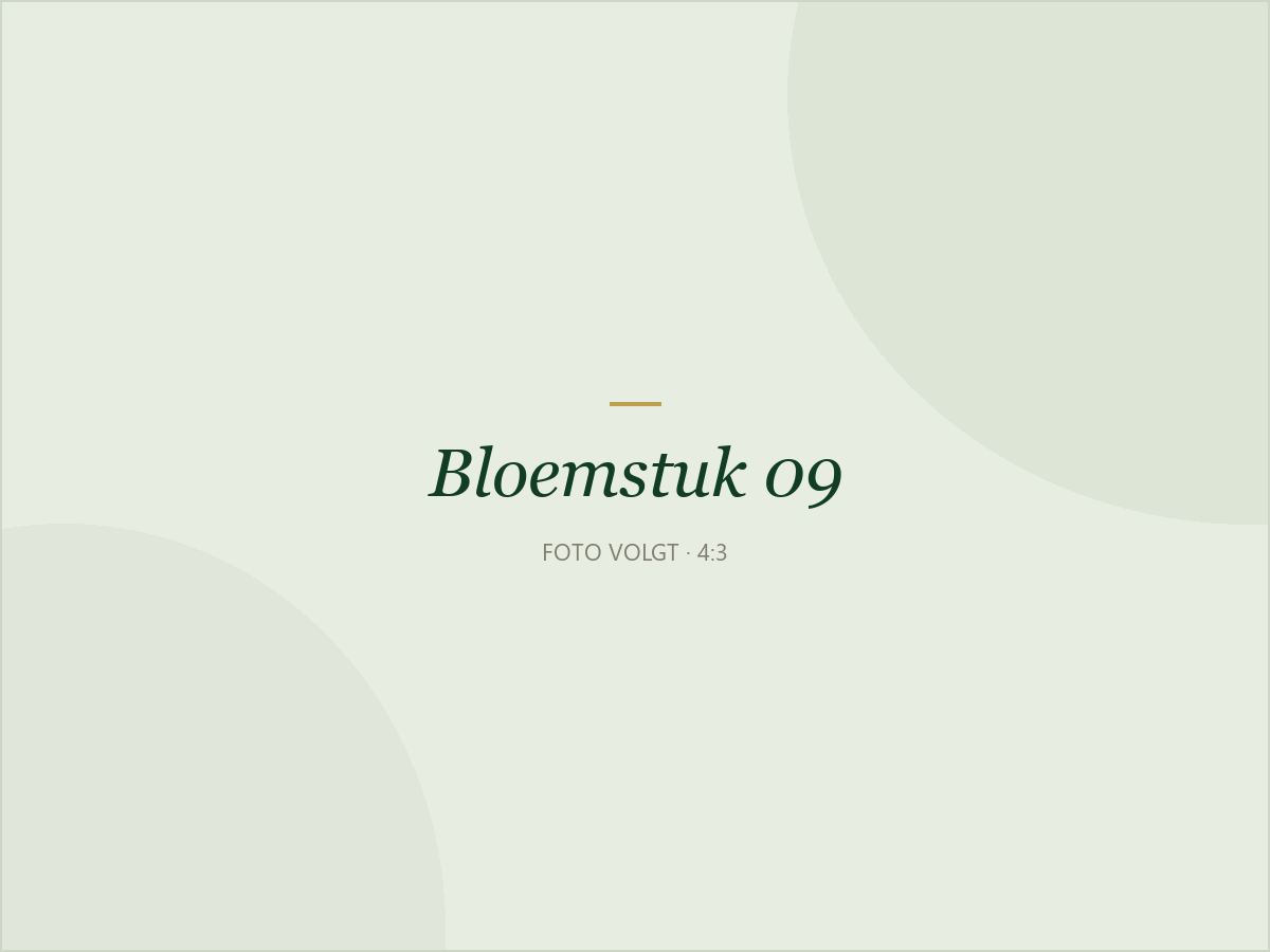 Bloemstuk 09: Bloemstuk hoog in roze