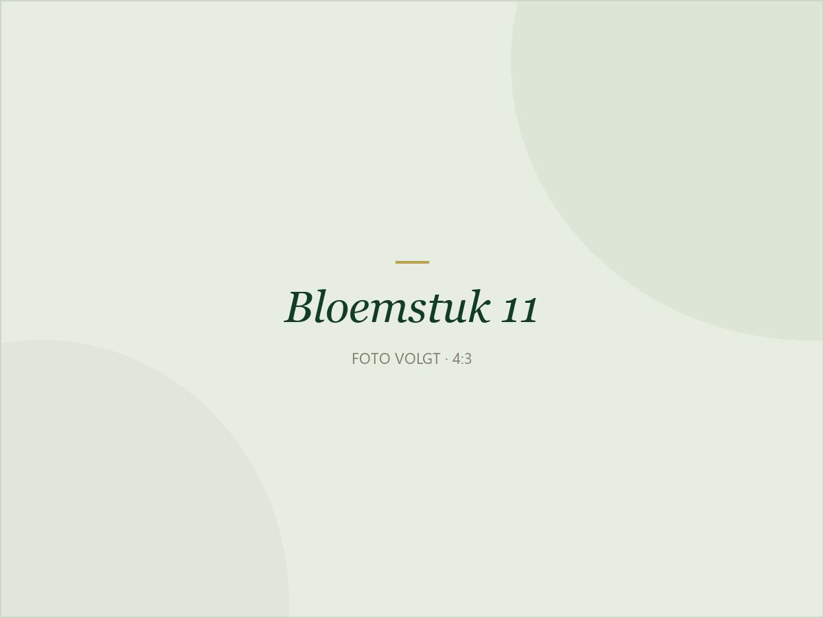 Bloemstuk 11: Mini-stuk in brons