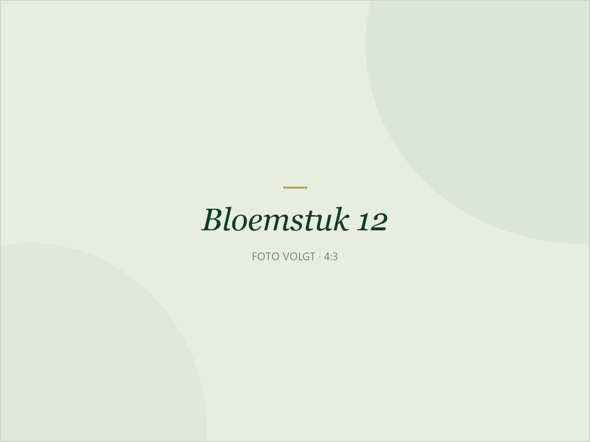 Bloemstuk 12: Bloemstuk landelijk in gemengd