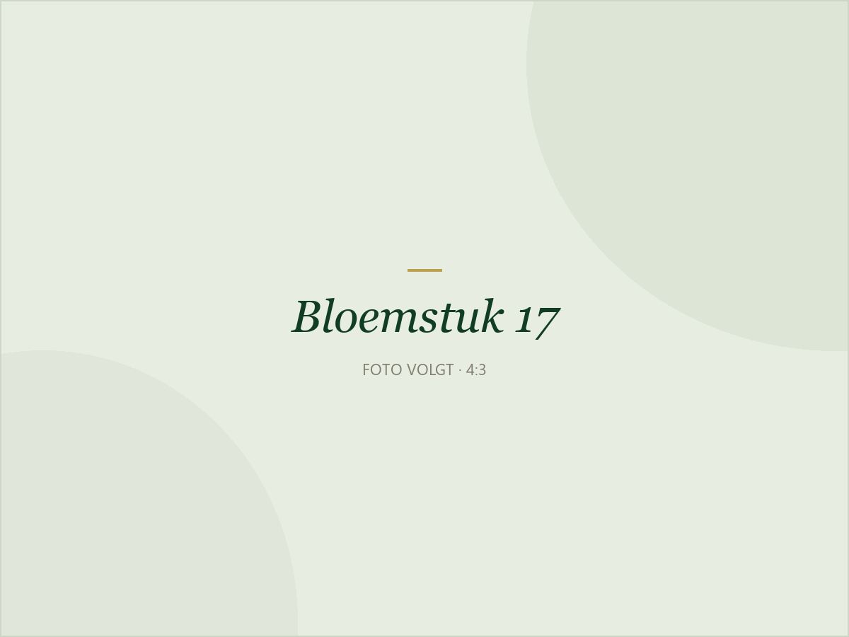Bloemstuk 17: Hart in bordeaux