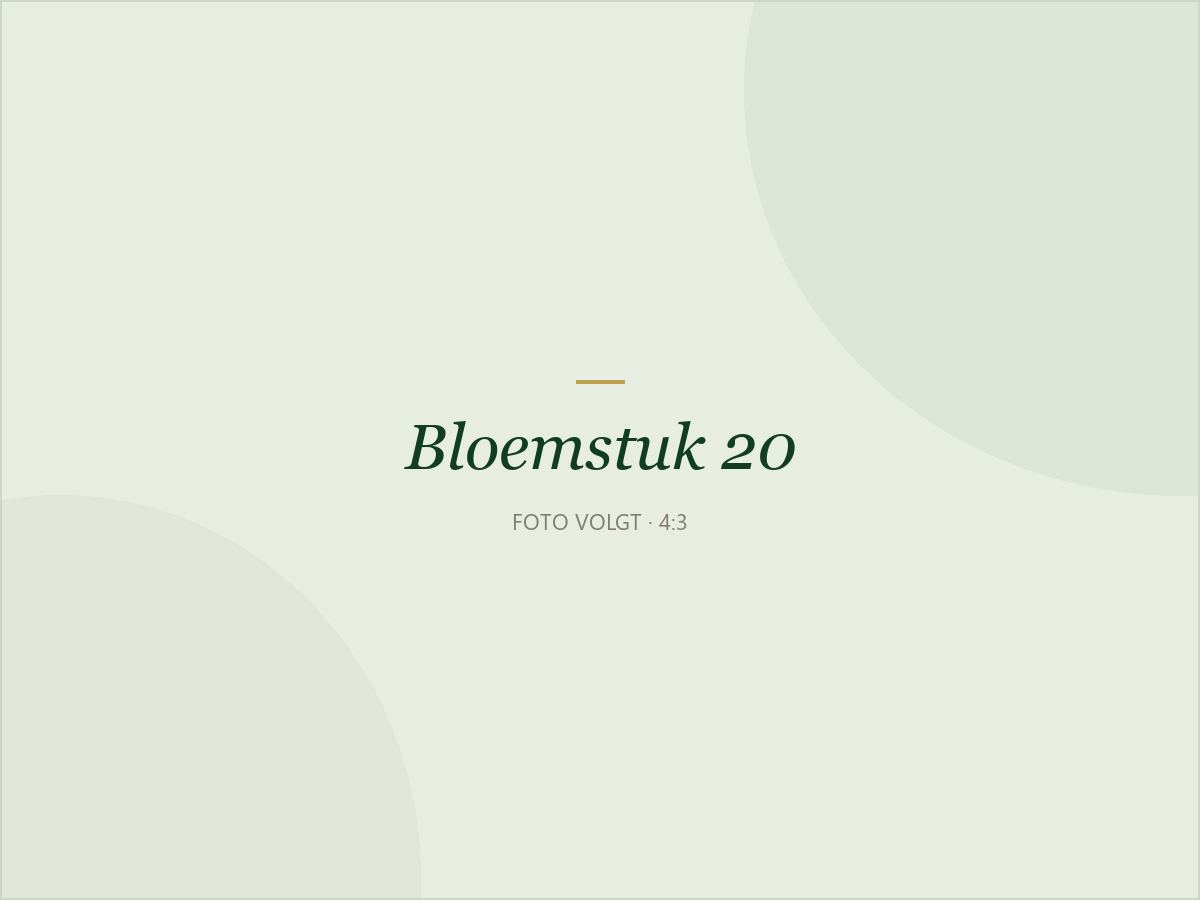 Bloemstuk 20: Bloemstuk met engel in wit