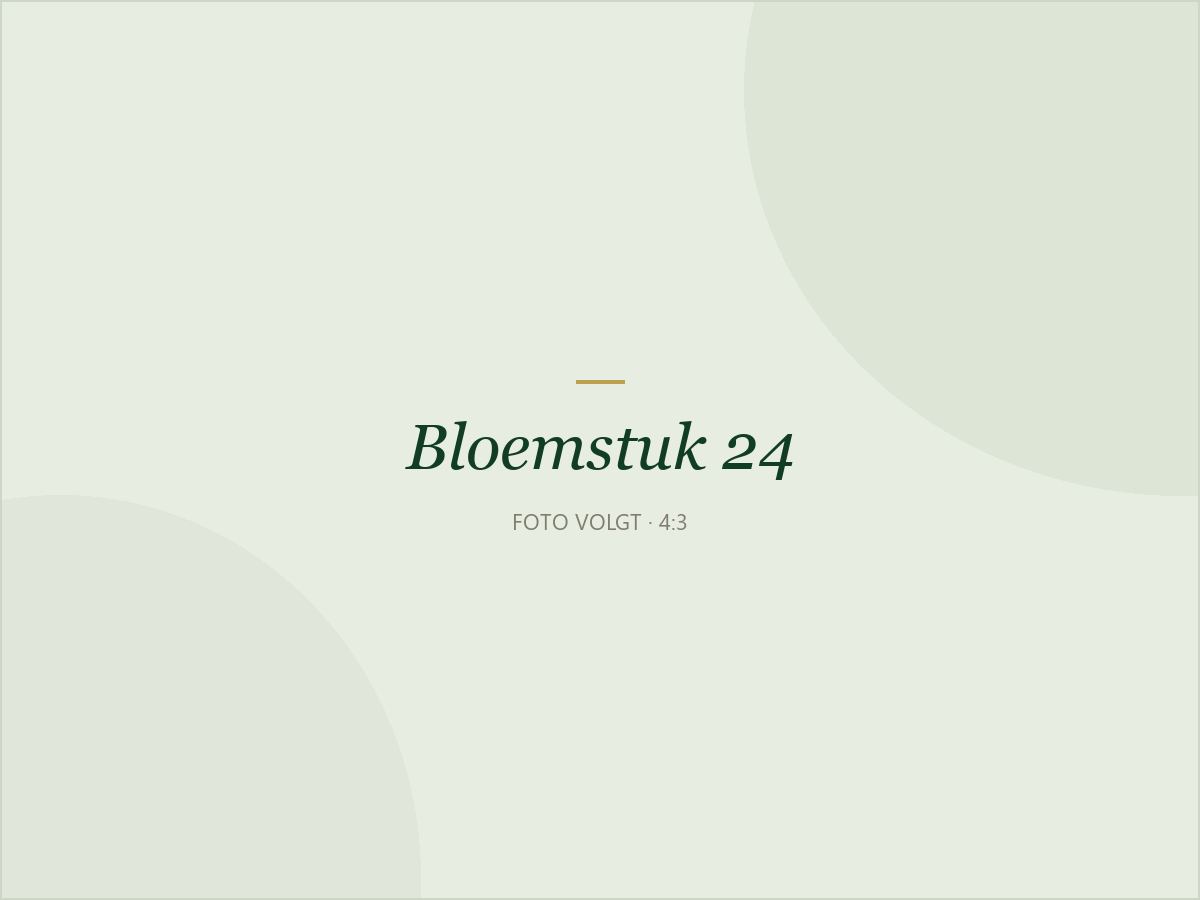 Bloemstuk 24: Bloemstuk landelijk in geel
