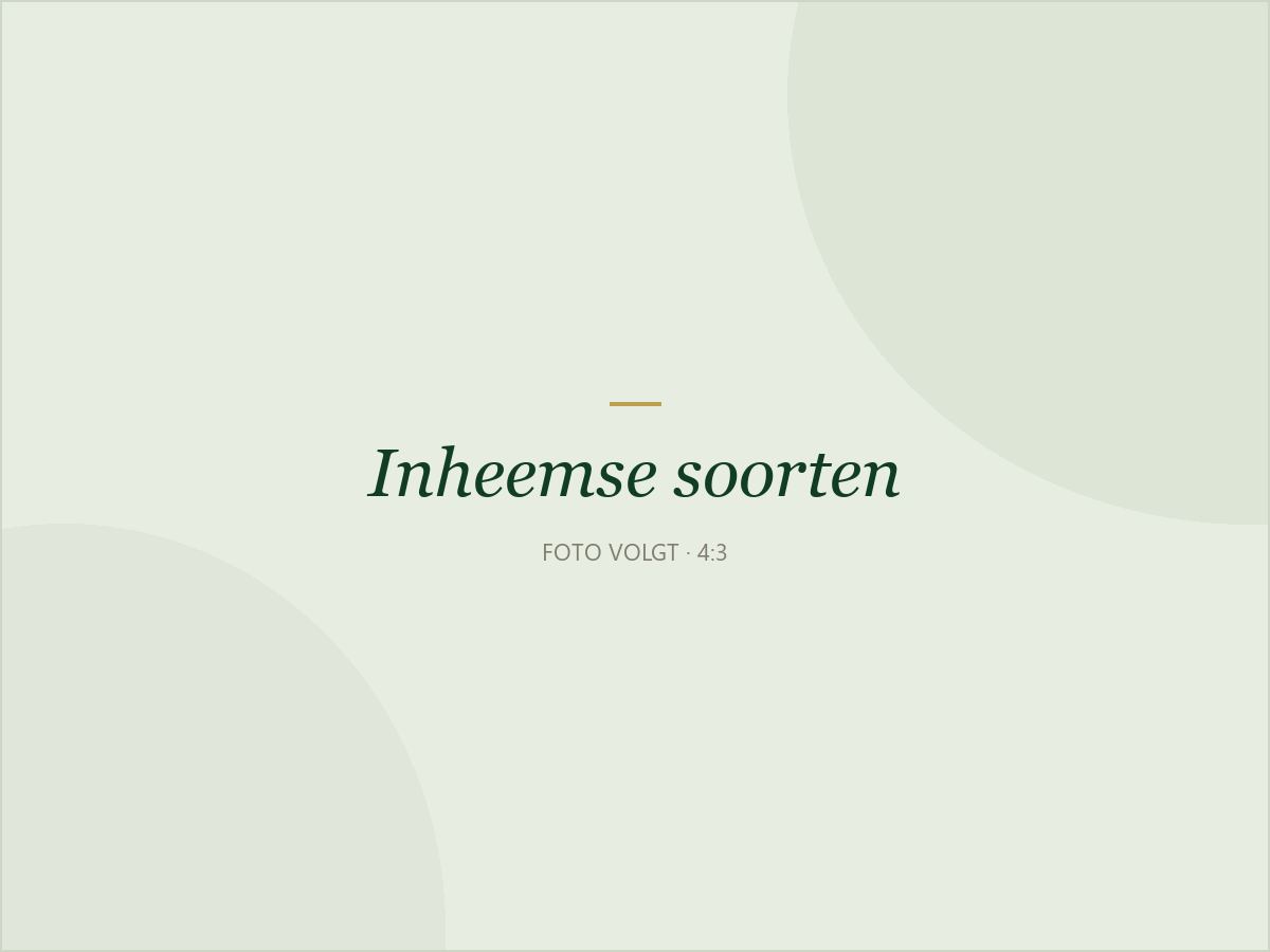 Een gemengde inheemse haag