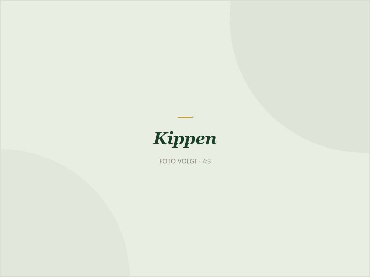 Kippenvoeding