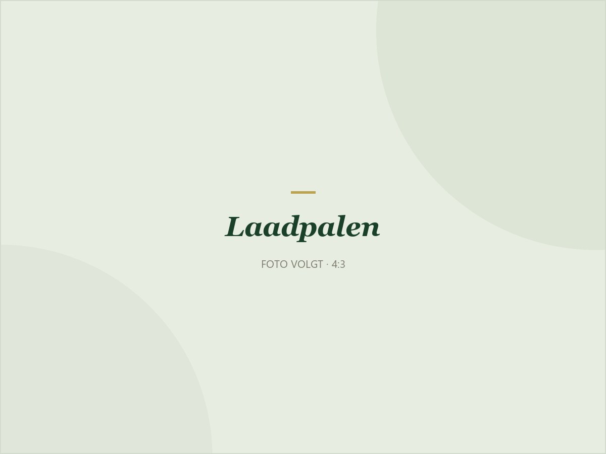 Laadpalen aan het tuincentrum
