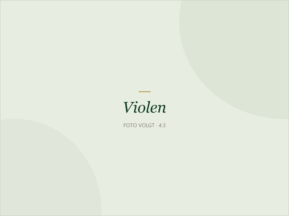 Violen in de serre