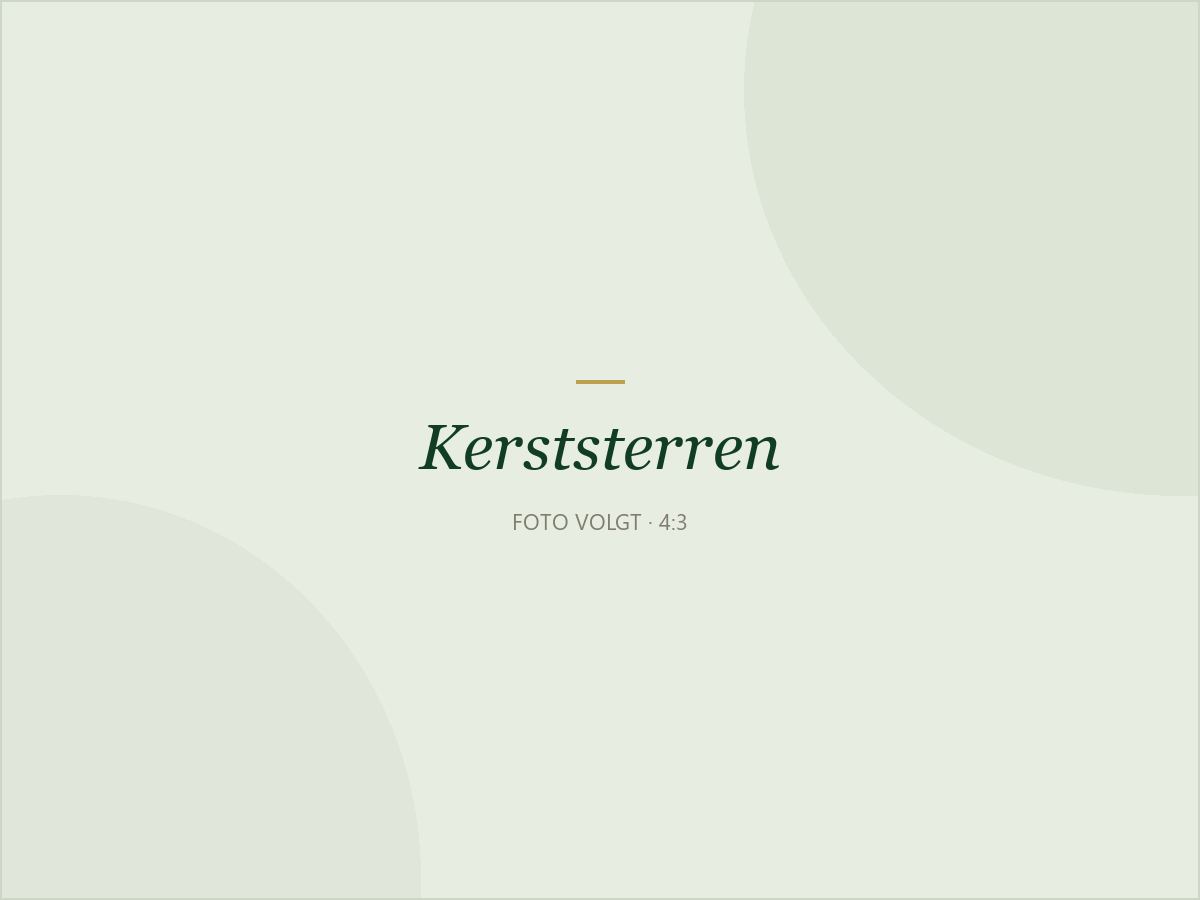 Kerststerren in de kas